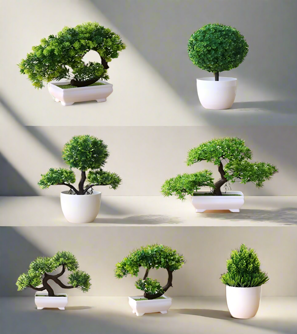 Green bonsai