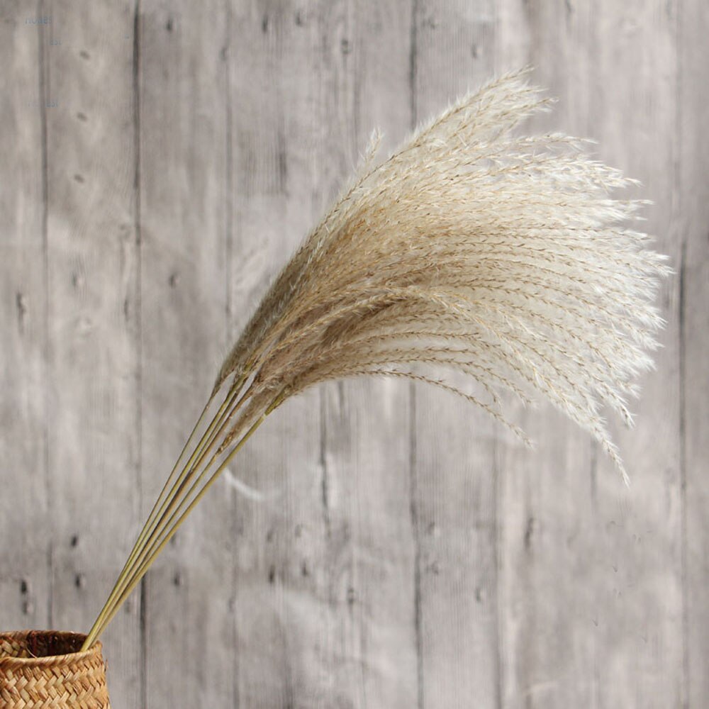 Dried natural flower