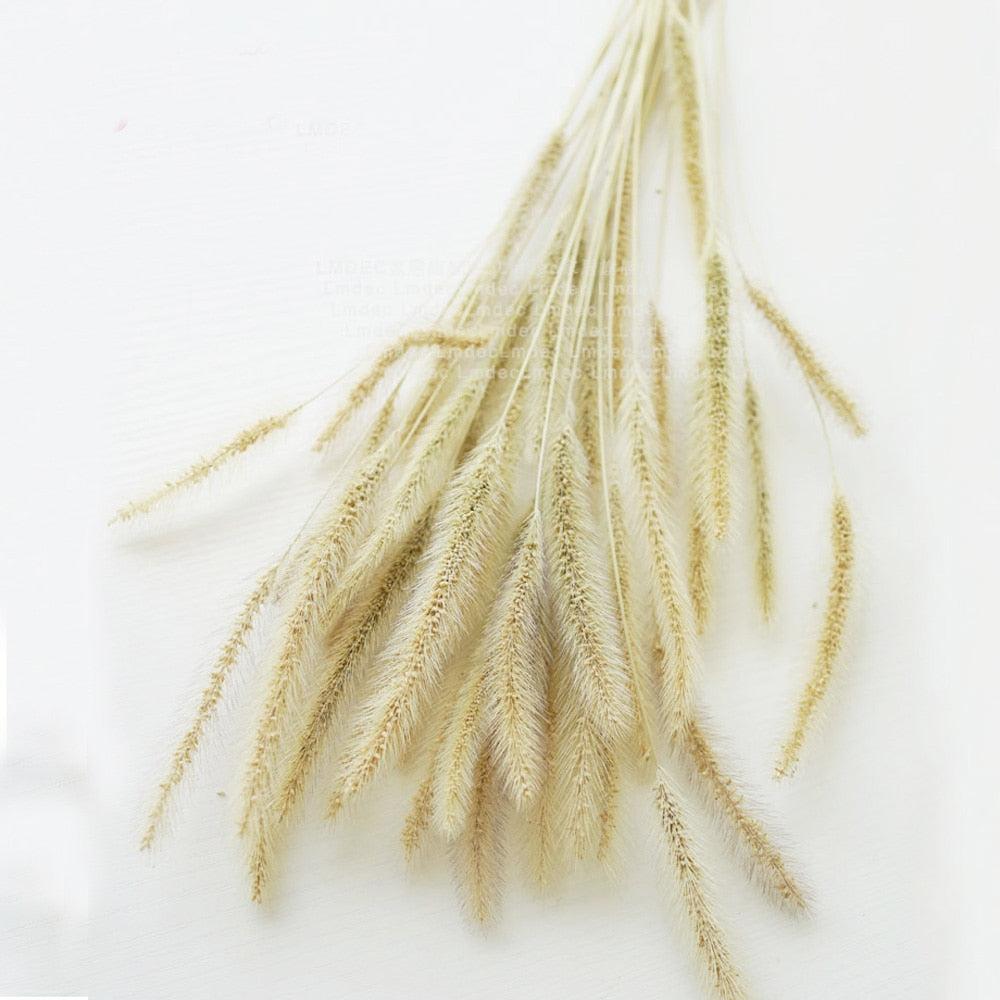 Dried natural flower