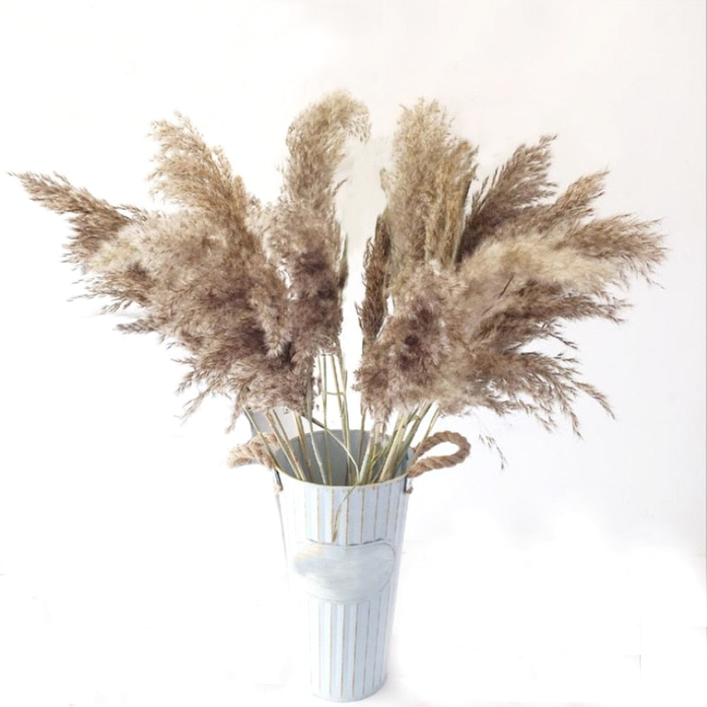 Dried natural flower